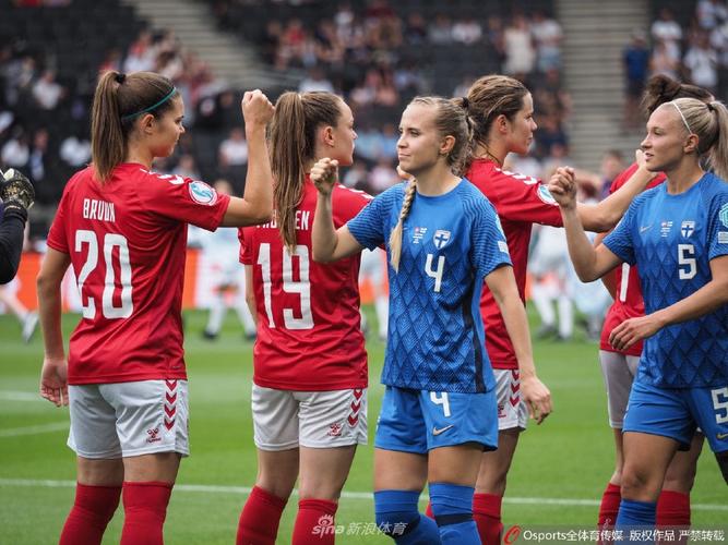 丹麦芬兰欧洲杯女子（欧洲杯丹麦芬兰）